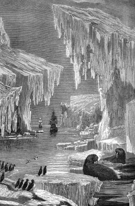 Framed Print : 19th Century Arctic Exploration Print Framed Print : 19th Century Arctic Exploration Print