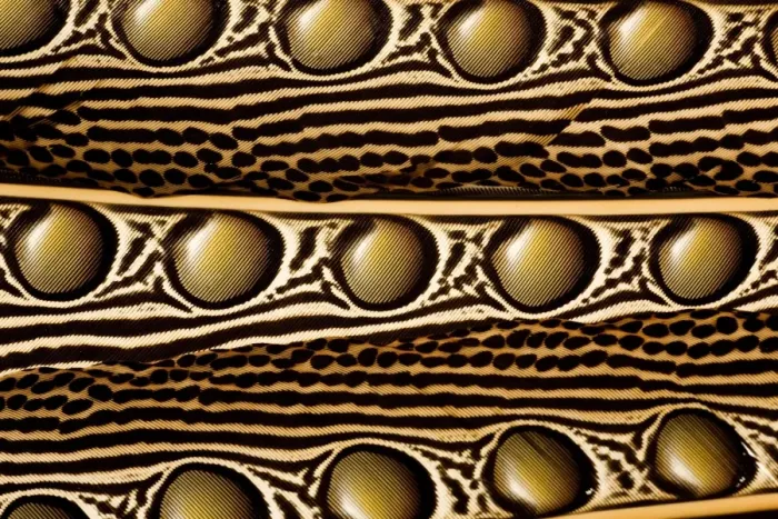 Framed Print : Argus Pheasant Secondary Wing Feathers Print Framed Print : Argus Pheasant Secondary Wing Feathers Print