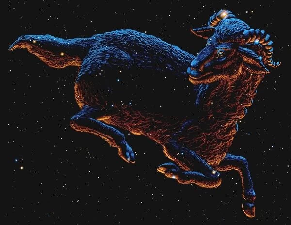Aries. Artwork of a ram drawn over stars in the constellation Aries
