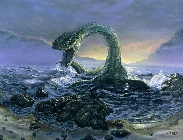 Artwork of Elasmosaurus, a marine dinosaur