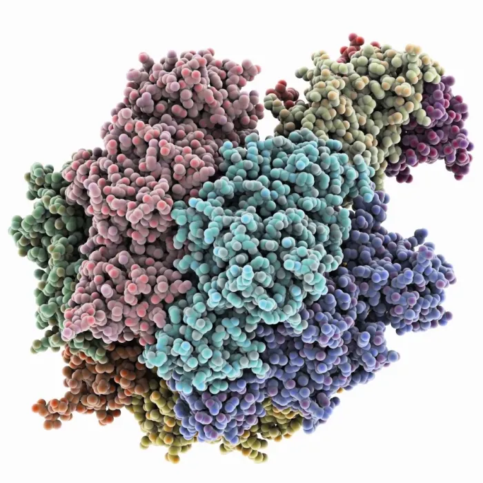 Framed Print : ATPase Molecule Print: Central Stalk Structure Framed Print : ATPase Molecule Print: Central Stalk Structure