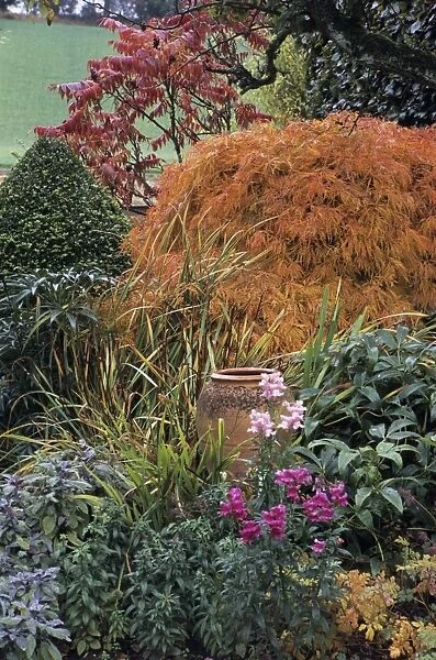 Autumn garden