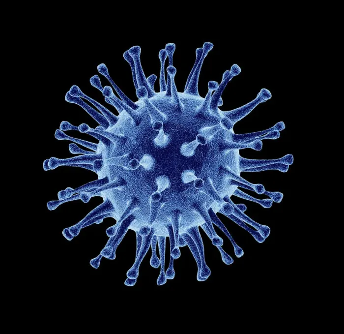 Framed Print : Avian Flu Virus Print Framed Print : Avian Flu Virus Print