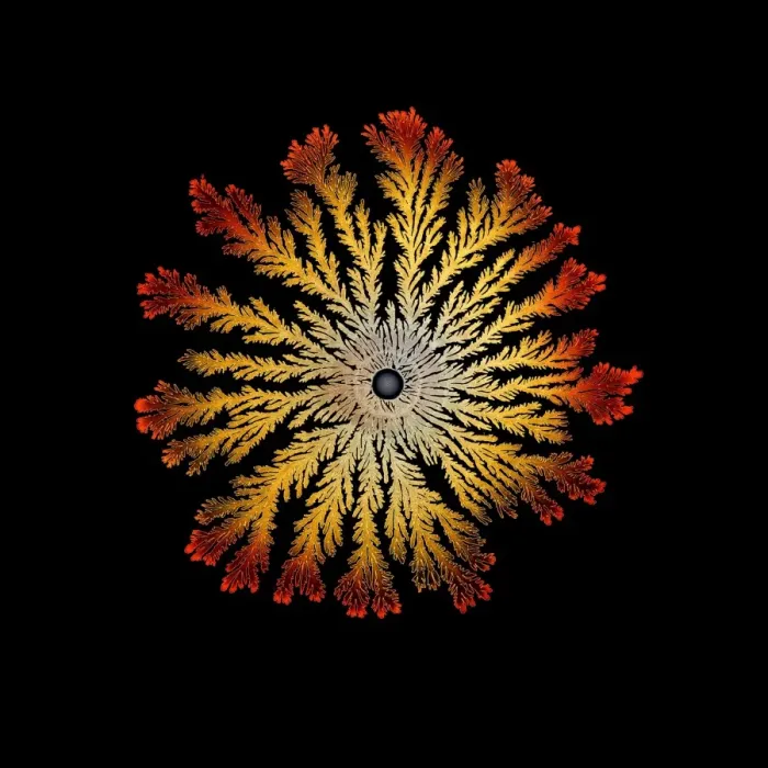 Framed Print : Bacterial pattern in petri dish Print Framed Print : Bacterial pattern in petri dish Print