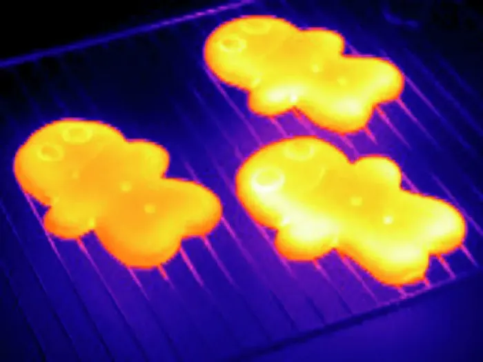Framed Print : Thermogram Print of Baked Gingerbread Framed Print : Thermogram Print of Baked Gingerbread