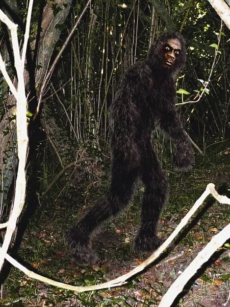 Bigfoot. This mythical primate is said to live in the deep forests of North America