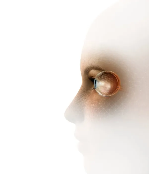 Framed Print : Biometric Recognition Print Framed Print : Biometric Recognition Print