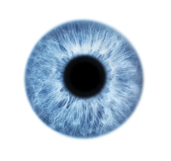 Blue iris store eye