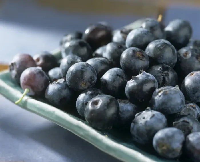 Framed Print : Blueberry Print Framed Print : Blueberry Print