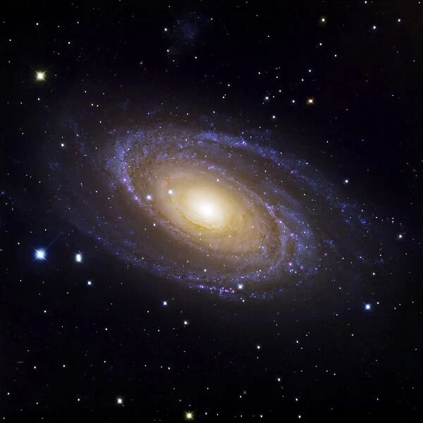 Bodes Galaxy (M81), optical image