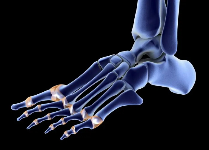 Framed Print : Left Foot Bones 3D Print Framed Print : Left Foot Bones 3D Print