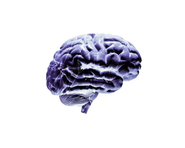 Framed Print : Brain Print, Abstract Computer Artwork Framed Print : Brain Print, Abstract Computer Artwork