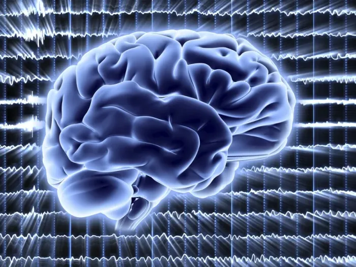 Framed Print : Brain Activity Print: EEG Traces Over Brain Illustration Framed Print : Brain Activity Print: EEG Traces Over Brain Illustration
