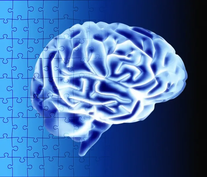 Framed Print : Brain Puzzle Print Framed Print : Brain Puzzle Print