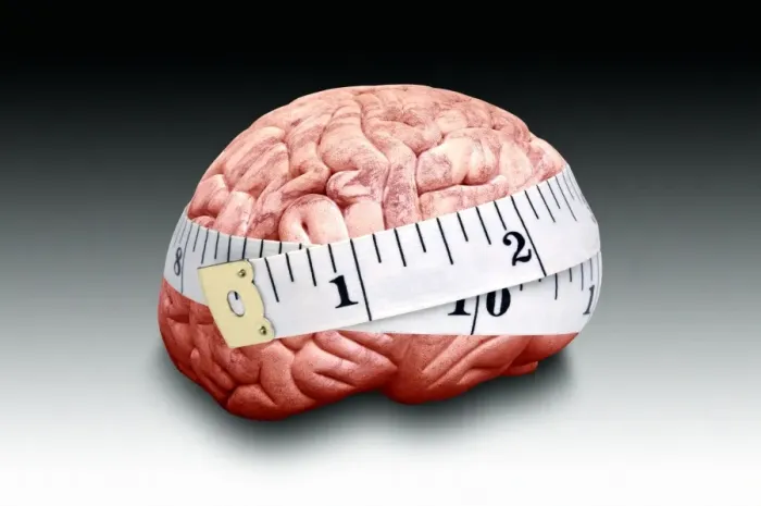 Framed Print : Brain Size Comparison Print Framed Print : Brain Size Comparison Print
