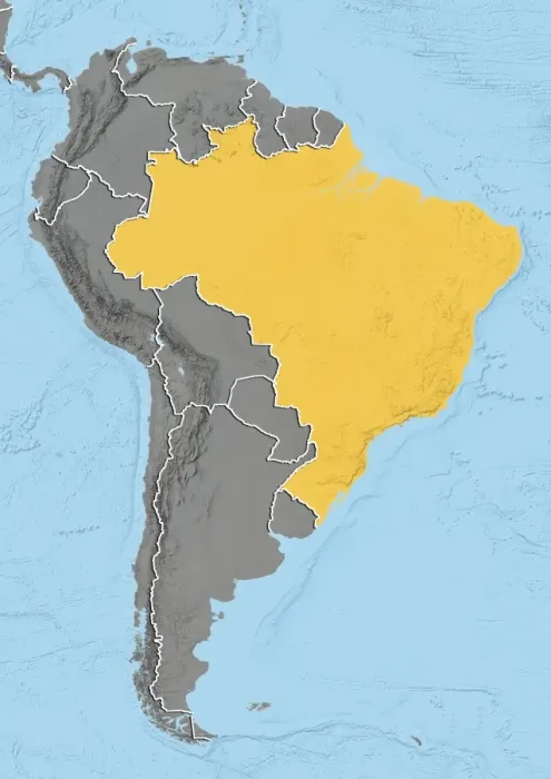 Framed Print : Relief Map of Brazil Print Framed Print : Relief Map of Brazil Print