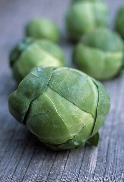 Brussels sprouts (Brassica oleracea)