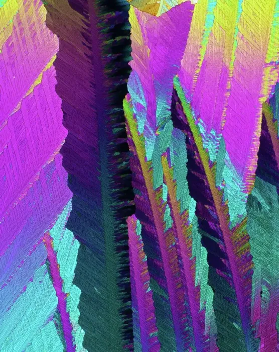 Framed Print : Caffeine Crystals Print Framed Print : Caffeine Crystals Print