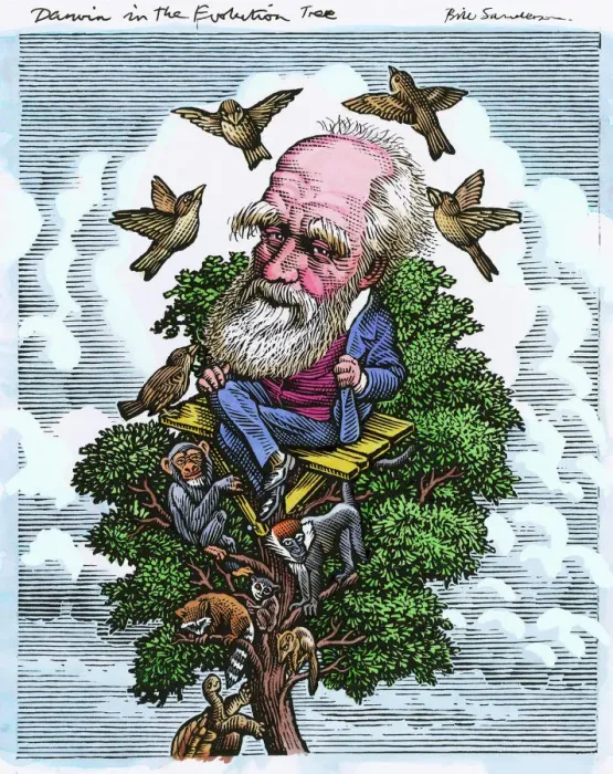 Framed Print : Charles Darwin in his evolutionary tree Print