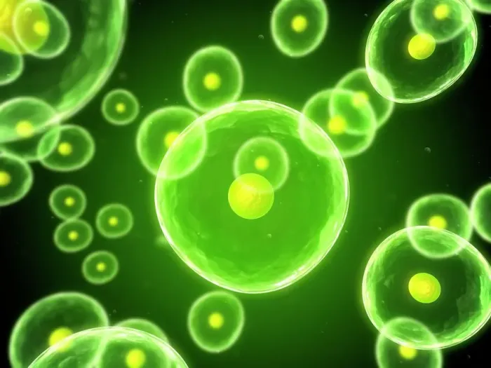 Framed Print : Cells Print - A digital representation in print form Framed Print : Cells Print - A digital representation in print form