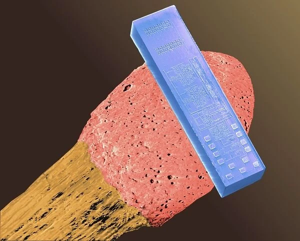 Coloured SEM of blood pressure monitor on a match