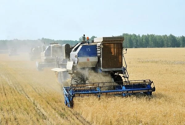 Combine harvesters in a wheat field C015  /  5901