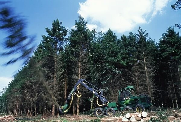 Commercial forestry