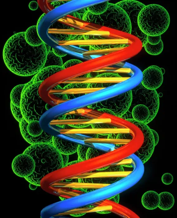 Framed Print : Computer artwork of beta DNA segment print