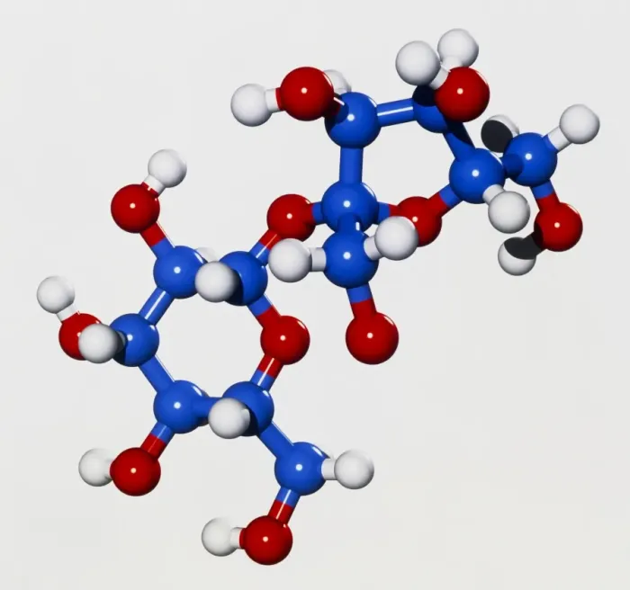 Framed Print : Computer Graphic Print of Sucrose Molecule Framed Print : Computer Graphic Print of Sucrose Molecule