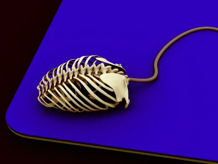 Framed Print : Computer Mouse Skeleton Print Framed Print : Computer Mouse Skeleton Print