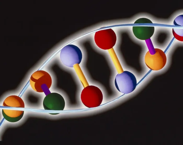 Framed Print : Computer Representation of DNA Base Pairs Print Framed Print : Computer Representation of DNA Base Pairs Print