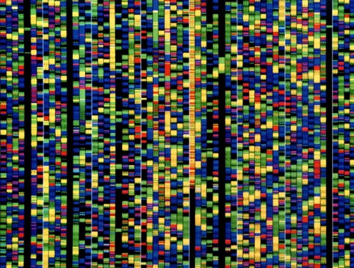 Framed Print : Computer Screen Print: Human DNA Sequence Framed Print : Computer Screen Print: Human DNA Sequence