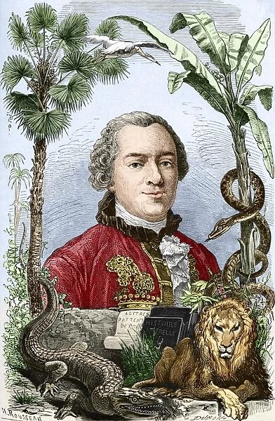 Comte de Buffon, French naturalist