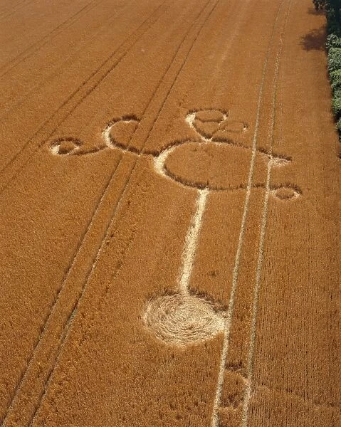 Crop formation, Cheesefoot, Hampshire