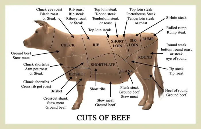 Framed Print : Beef Cuts Print Framed Print : Beef Cuts Print