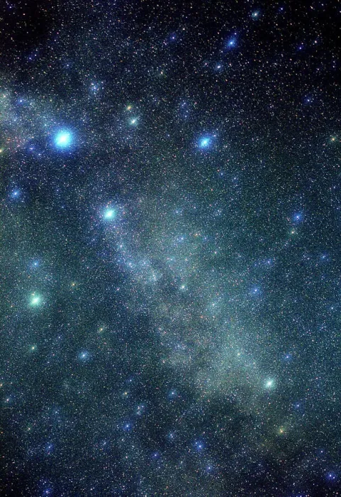 Framed Print : Cygnus Constellation Print Framed Print : Cygnus Constellation Print
