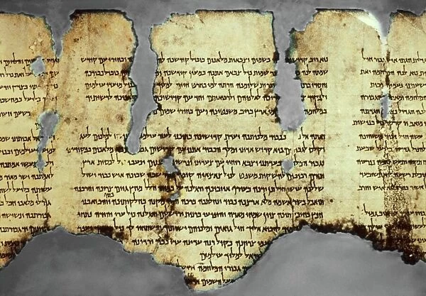 Dead Sea scroll fragment, 1st century AD C014  /  2074