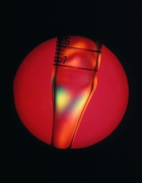 Defective plastic, light micrograph
