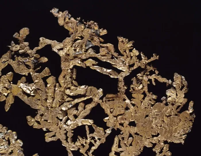 Framed Print : Dendritic Copper Specimen Print Framed Print : Dendritic Copper Specimen Print