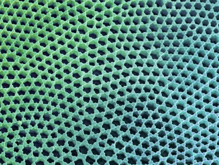 Framed Print : Diatom Cell Wall Print (SEM)
