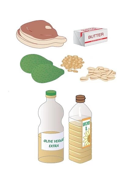 Dietary sources of fat, artwork