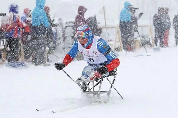 Disabled athlete skiing in biathlon C015  /  6206