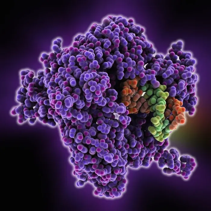 Framed Print : DNA Clamp Complexed with DNA Molecule Print Framed Print : DNA Clamp Complexed with DNA Molecule Print
