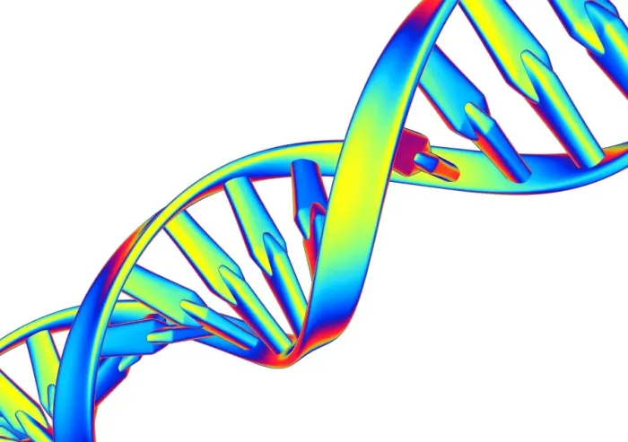 Framed Print : DNA Double Helix Print Framed Print : DNA Double Helix Print