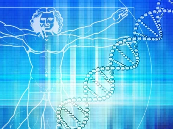 DNA. Computer artwork of a deoxyribonucleic acid 