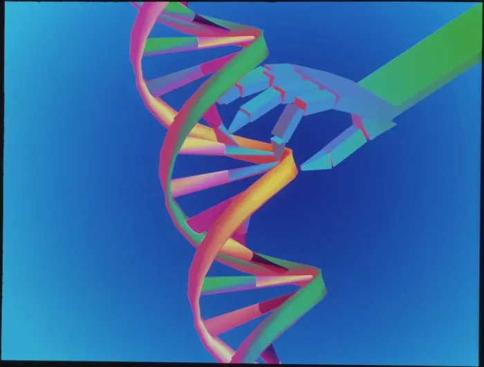 Framed Print : DNA Manipulation Print: Computer artwork of DNA segment being manipulated Framed Print : DNA Manipulation Print: Computer artwork of DNA segment being manipulated