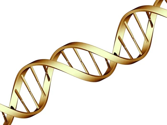 Framed Print : DNA Molecule Print, Double Helix Structure Framed Print : DNA Molecule Print, Double Helix Structure