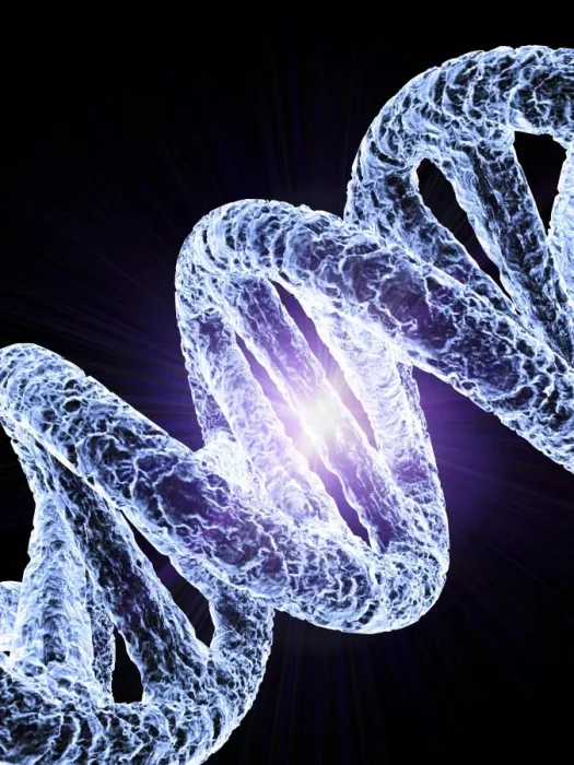 Framed Print : DNA Molecule Print Framed Print : DNA Molecule Print