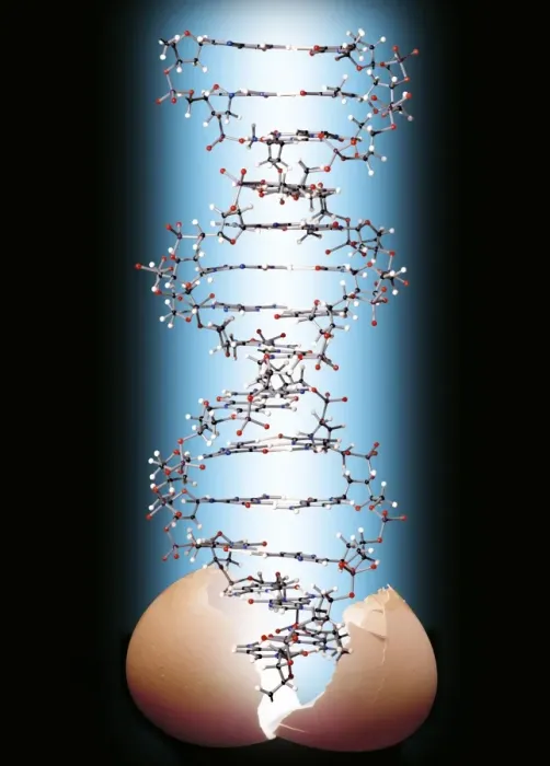 Framed Print : DNA Emerging from Cracked Eggshell Print