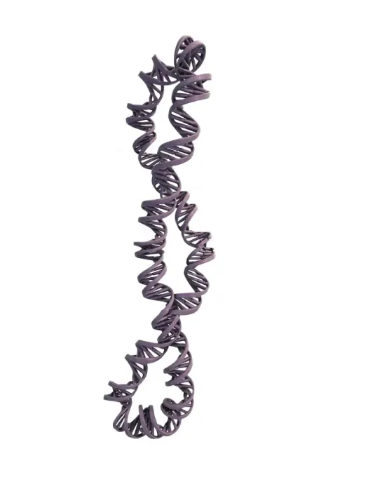 Framed Print : DNA Supercoil Print Framed Print : DNA Supercoil Print